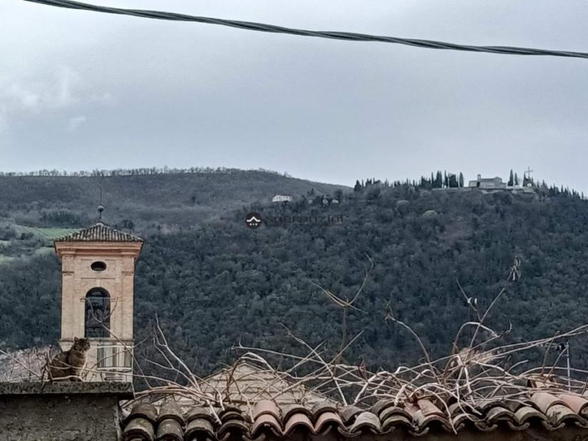 Vendita Trivani, Fossombrone foto