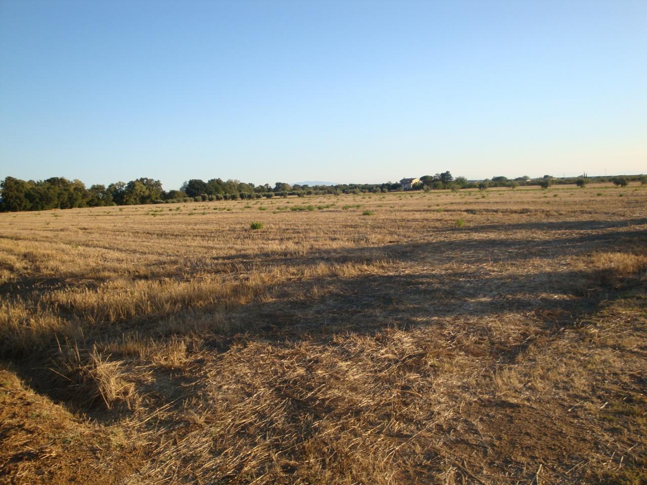 Vendita Monovano, Bibbona foto
