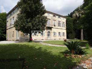 Vendita Multivani, Lucca Vendita Multivani, Lucca