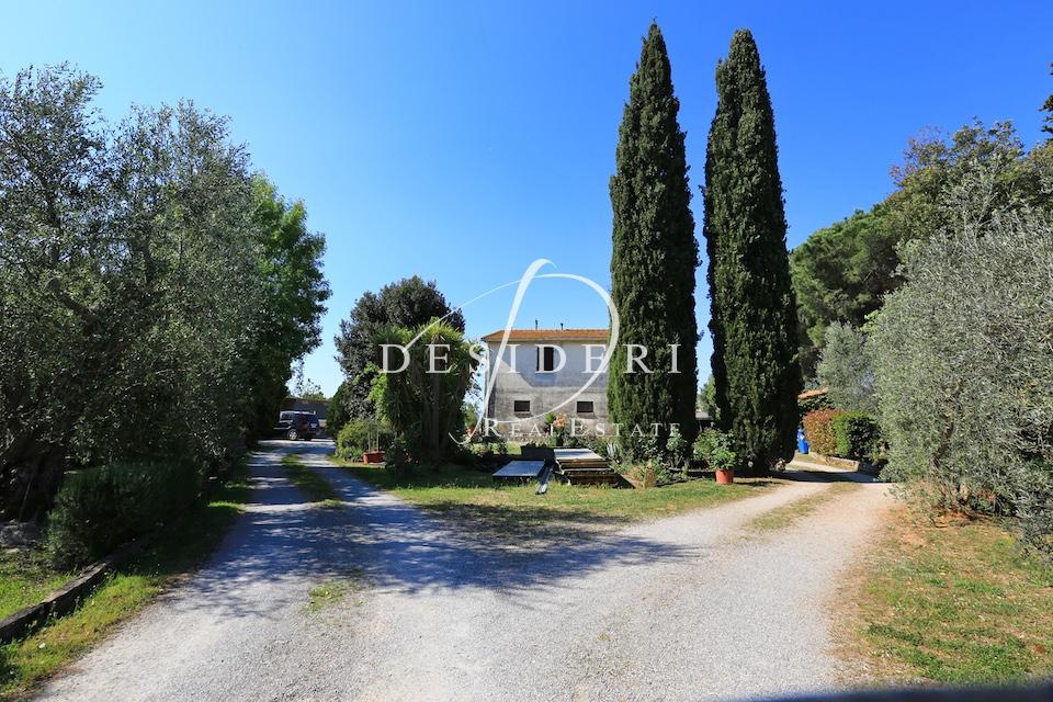 Vendita Eptavani, Magliano in Toscana foto
