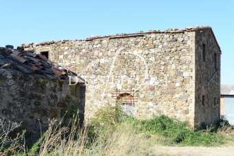 Vendita Multivani, Cinigiano