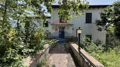 Vendita Esavani, Camporgiano Vendita Esavani, Camporgiano