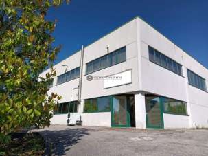 Vendita Esavani, Fossombrone Vendita Esavani, Fossombrone