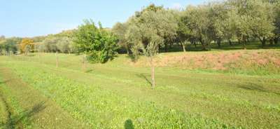 Vendita Altri immobili, Volpago del Montello