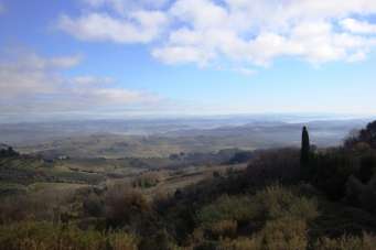 Vendita Bivani, Gambassi Terme Vendita Bivani, Gambassi Terme