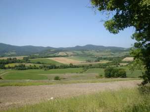Vendita Altri immobili, Pomarance