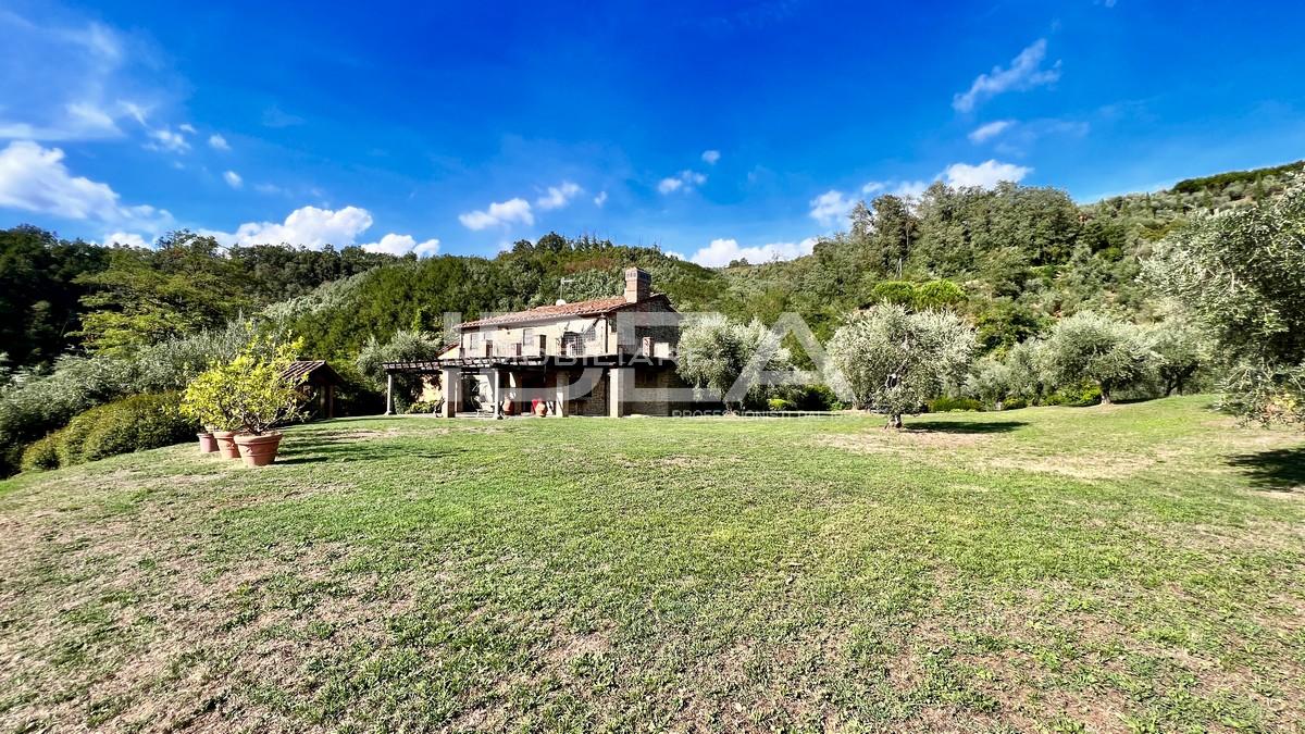 Vendita Multivani, Montecatini-Terme foto