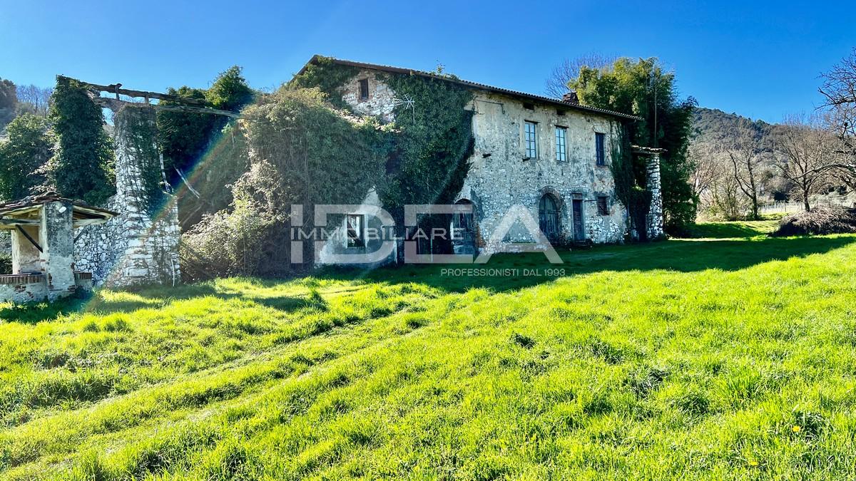 Vendita Multivani, Lucca foto
