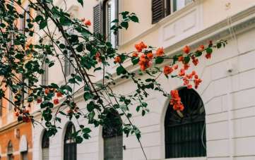 Vendita Multivani, Roma Vendita Multivani, Roma