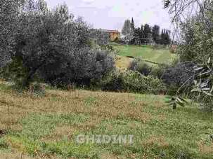 Vendita Multivani, Cinigiano Vendita Multivani, Cinigiano