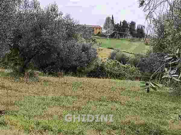 Vendita Multivani, Cinigiano foto