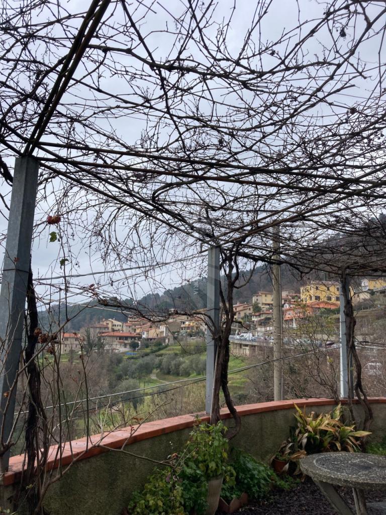 Vendita Multivani, Pietrasanta foto
