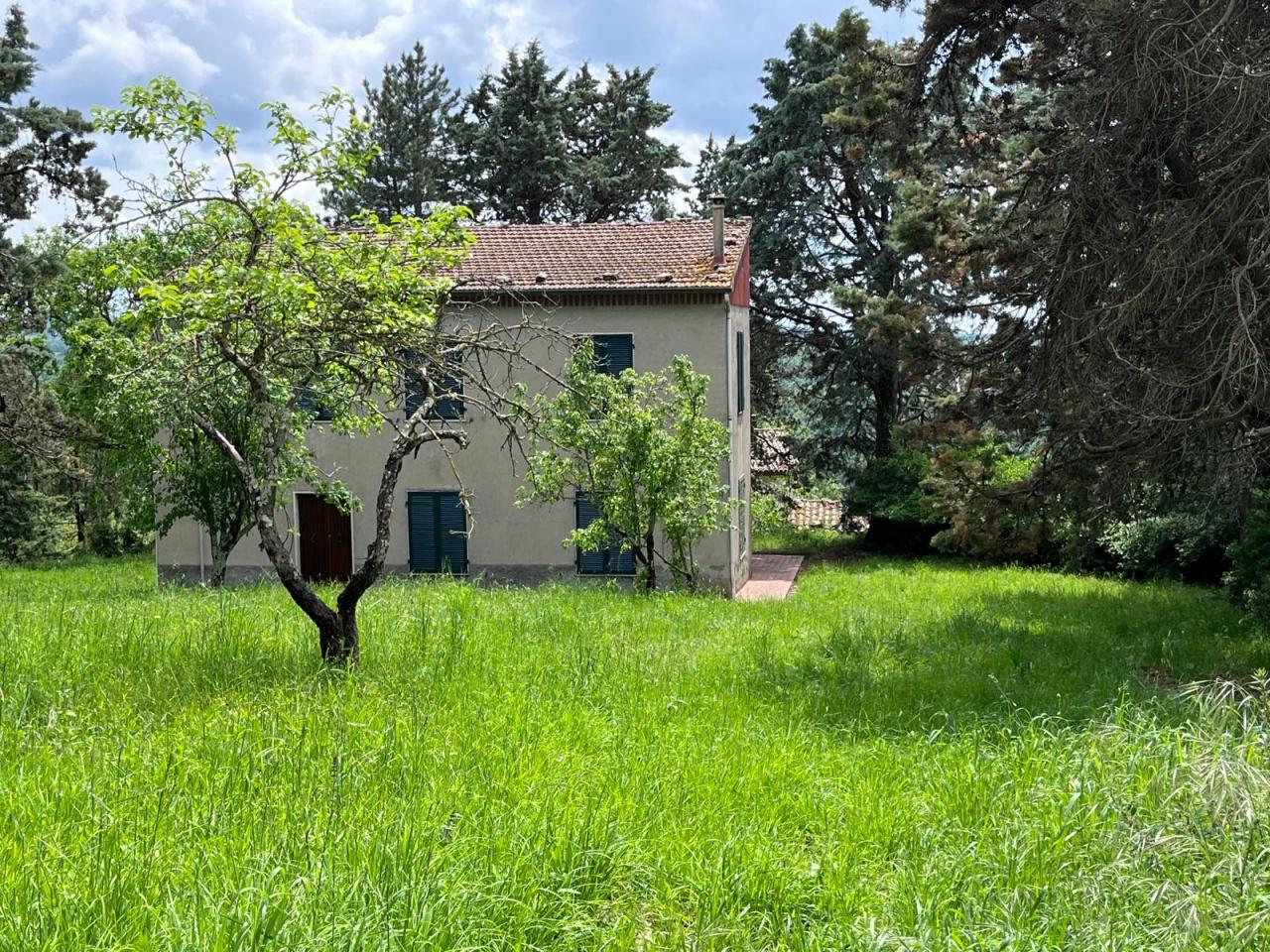 Vendita Multivani, Sorano foto