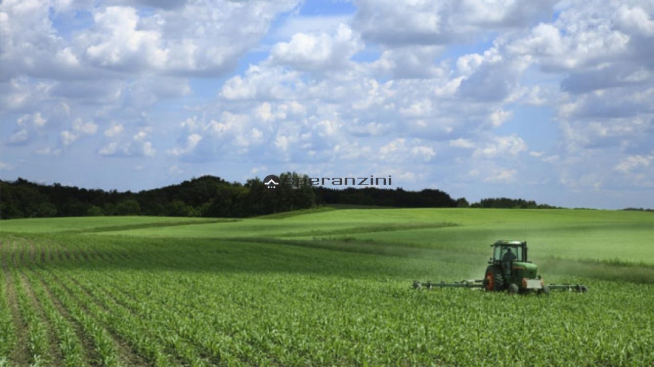 Vendita Bivani, Fano foto