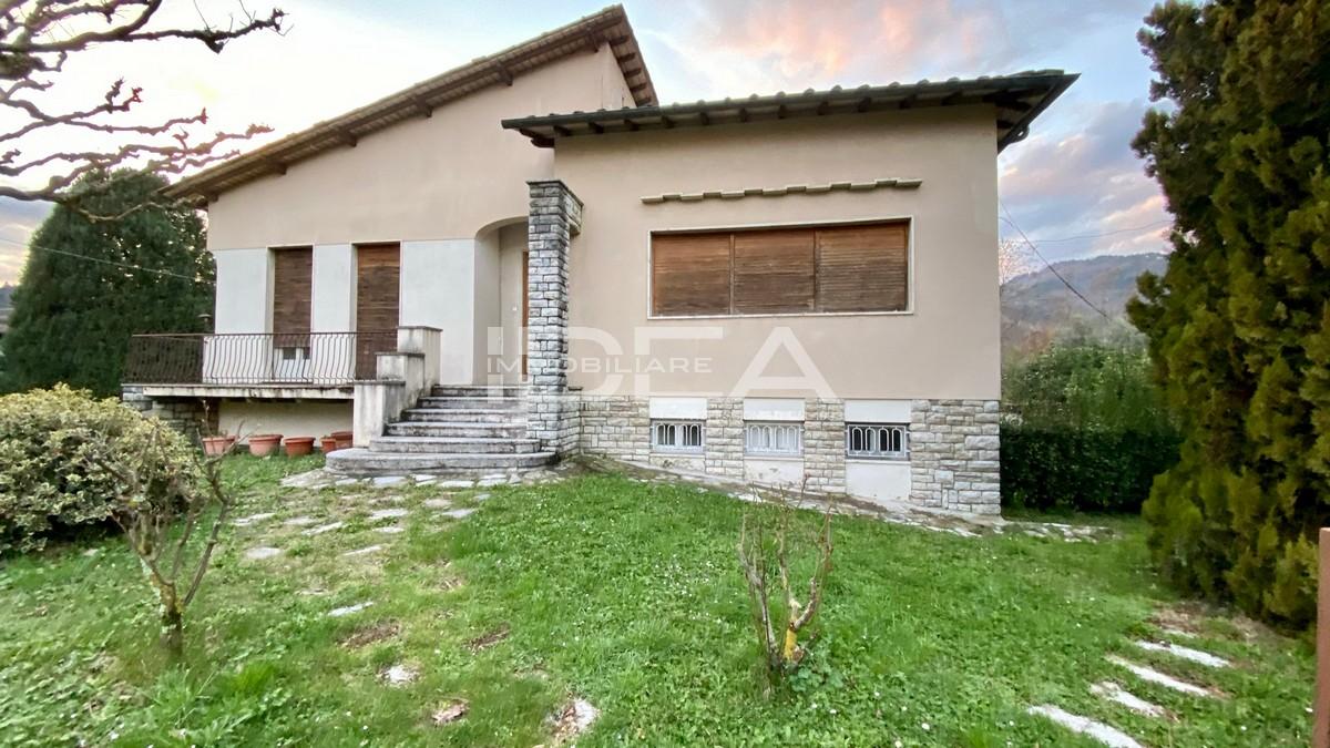 Vendita Multivani, Lucca foto