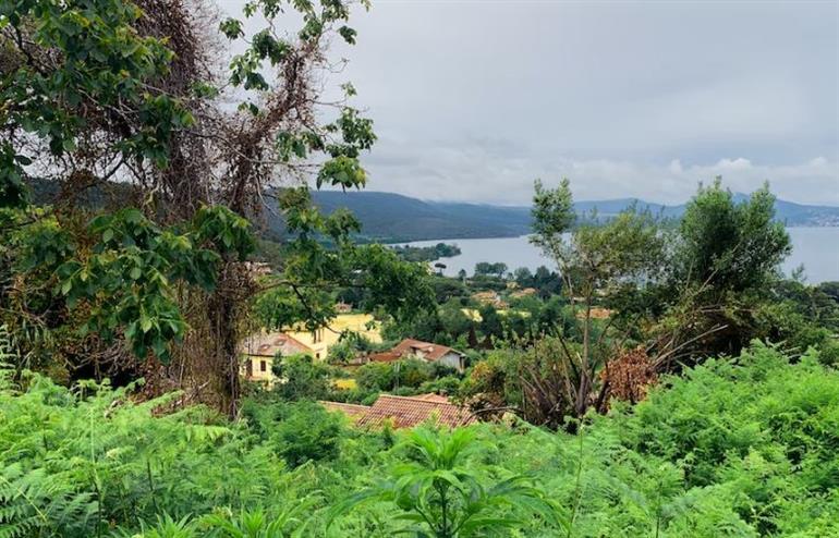 Vendita Pentavani, Bracciano foto