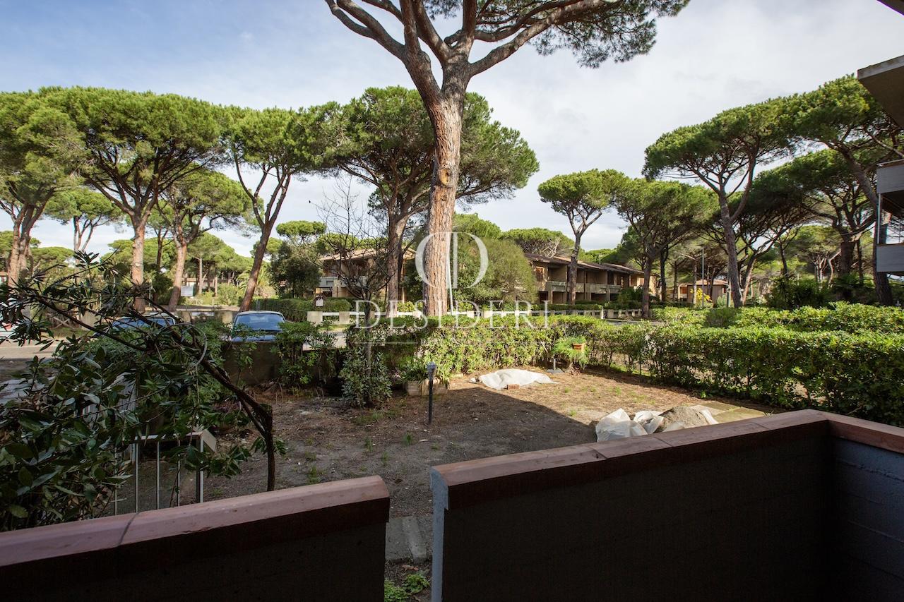 Vendita Quadrivani, Grosseto foto