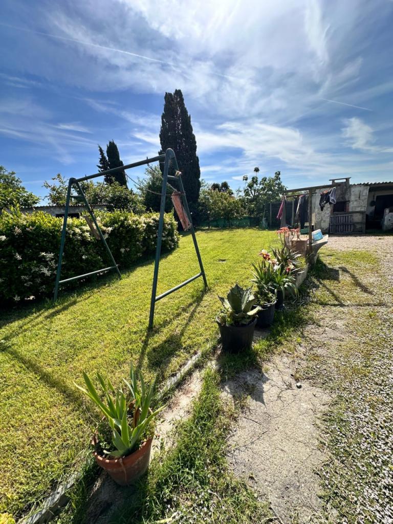 Vendita Pentavani, Campiglia Marittima foto