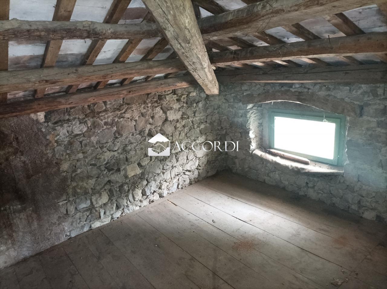 Vendita Multivani, Vittorio Veneto foto