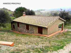 Vendita Trivani, Cinigiano