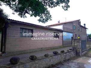 Vendita Esavani, Cinigiano