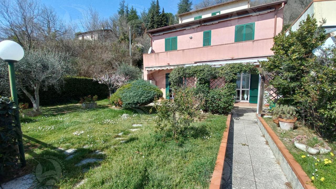 Vendita Pentavani, Testico foto