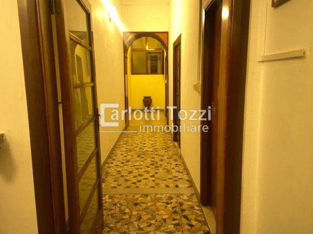 Vendita Esavani, Grosseto foto