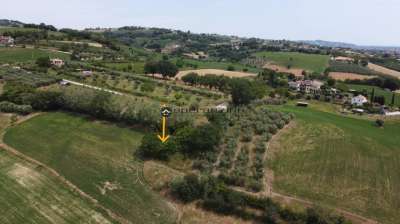 Vendita Trivani, Colli al Metauro Vendita Trivani, Colli al Metauro