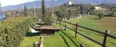 Vendita ATTIVITA', Reggello Vendita ATTIVITA', Reggello