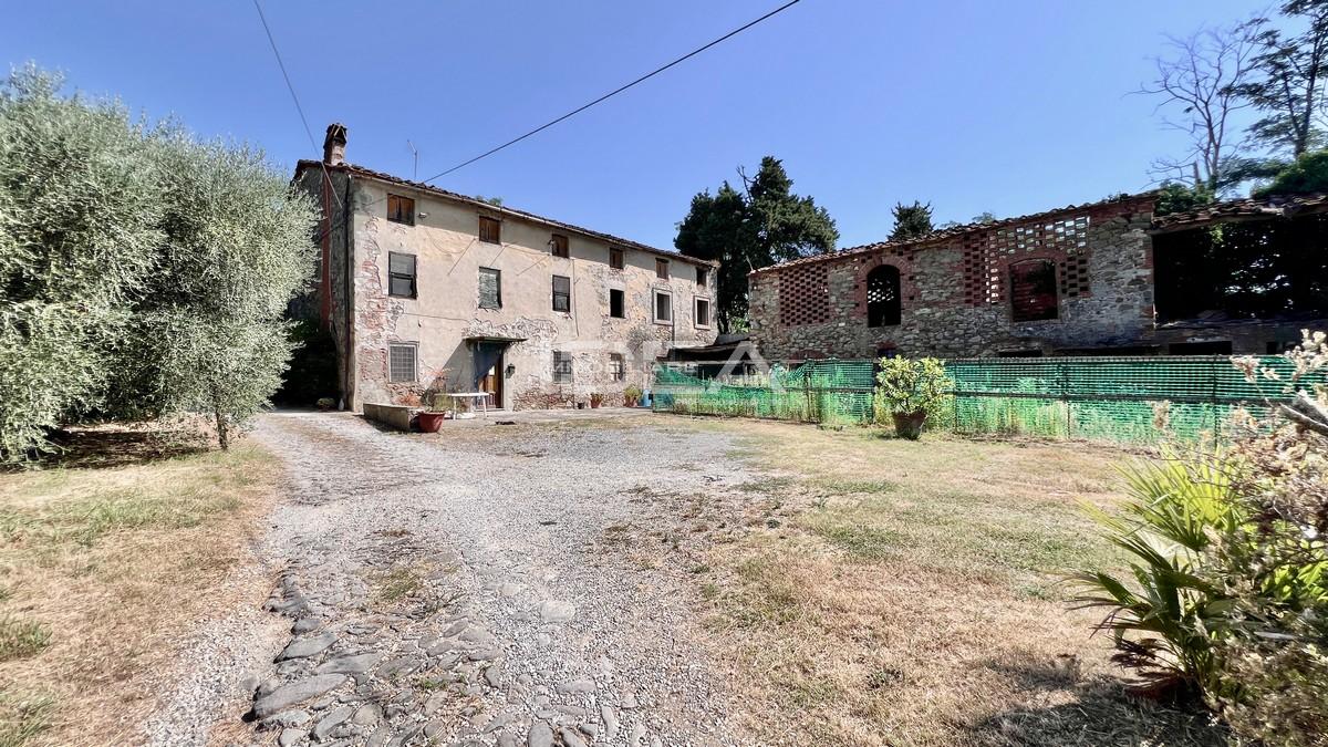 Vendita Multivani, Capannori foto