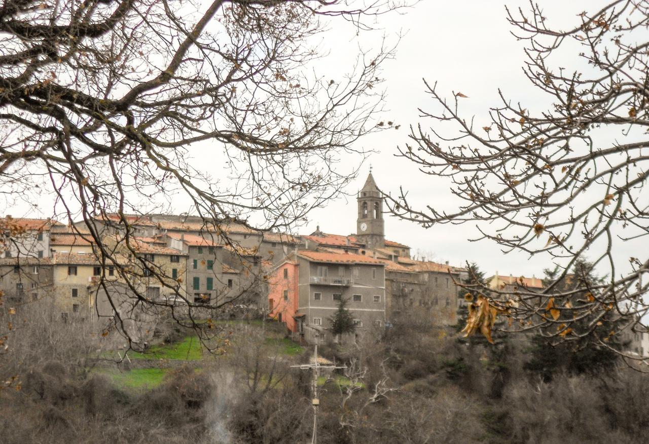 Vendita Bivani, Cinigiano foto