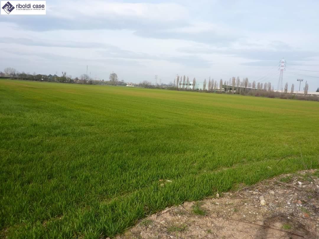 Vendita Altri immobili, Varedo foto