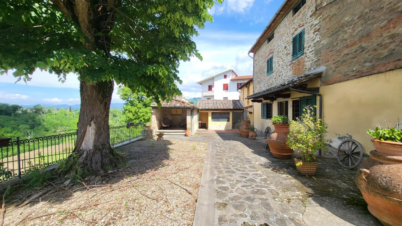 Vendita Multivani, Vicchio foto