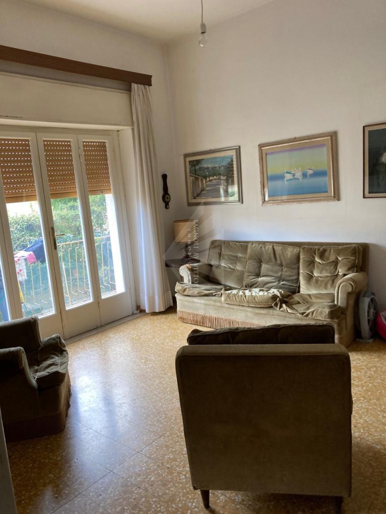 Vendita Eptavani, Pietrasanta foto