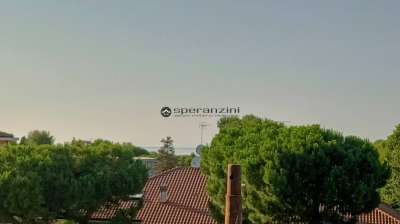 Vendita Multivani, Fano Vendita Multivani, Fano