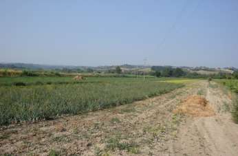Vendita Altri immobili, Castelfiorentino