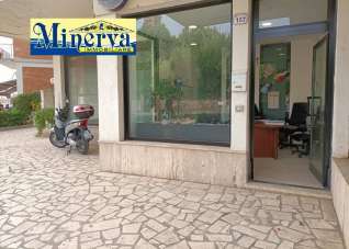 Vendita Locale commerciale, Nettuno