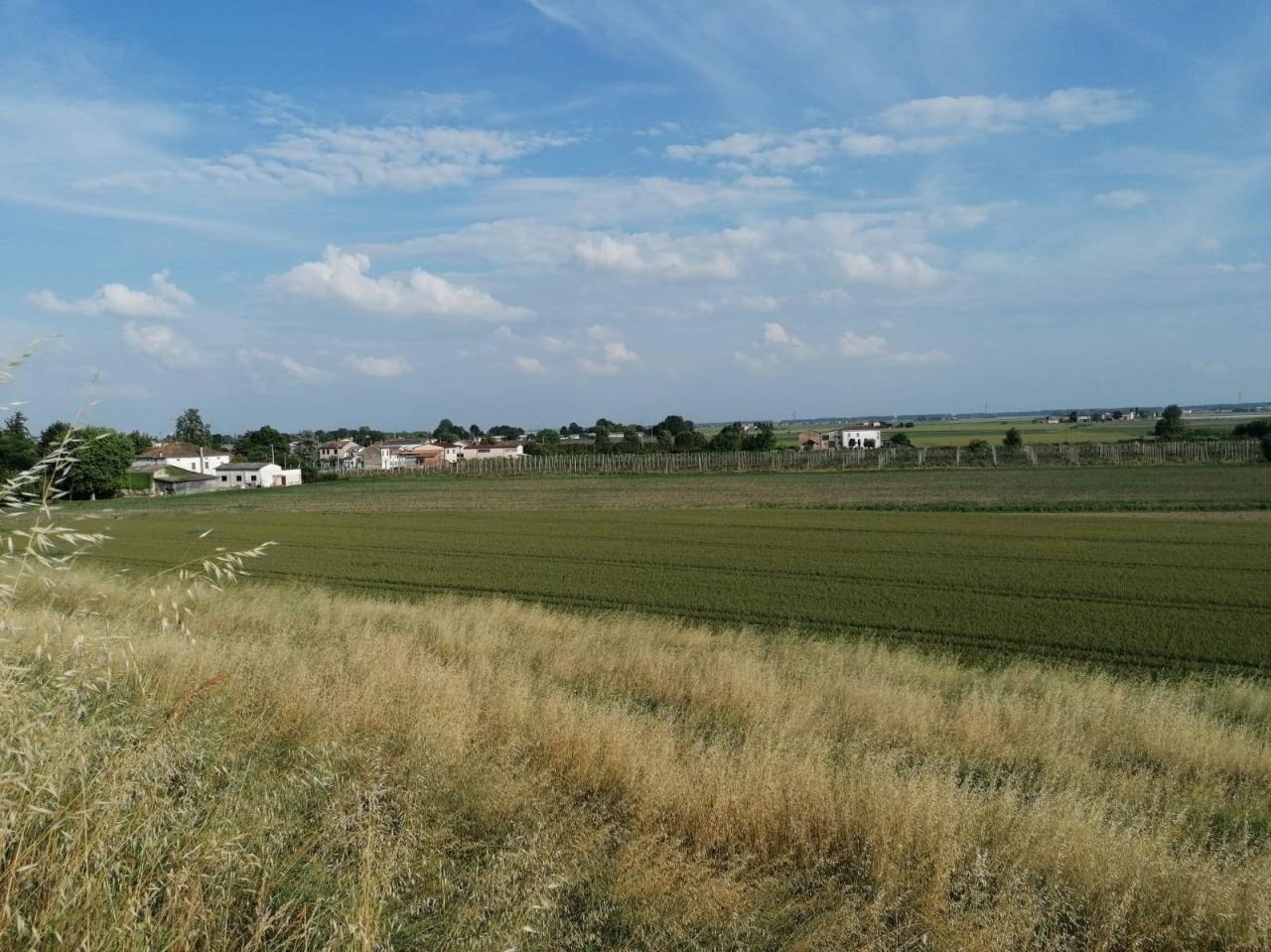 Vendita Terreno, Bondeno foto