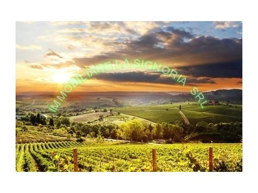 Vendita Attività commerciale, Pontassieve foto