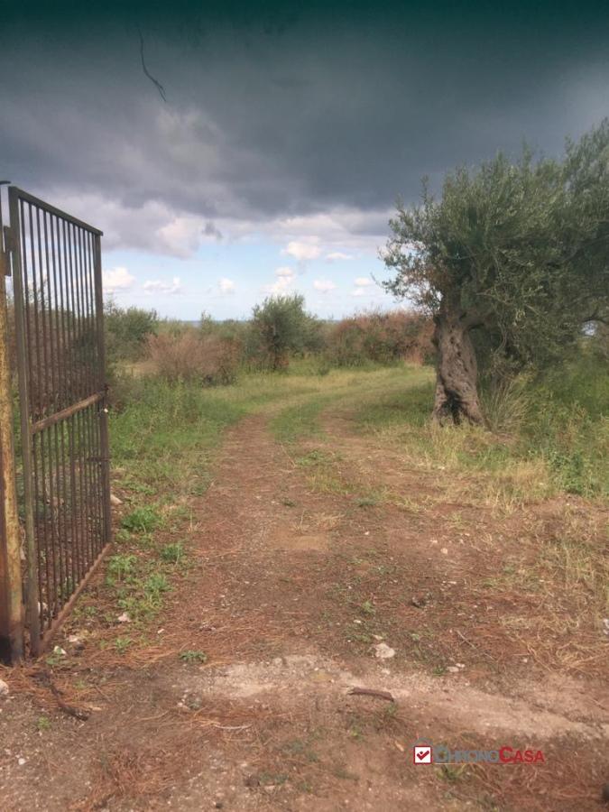 Vendita Terreno, Messina foto