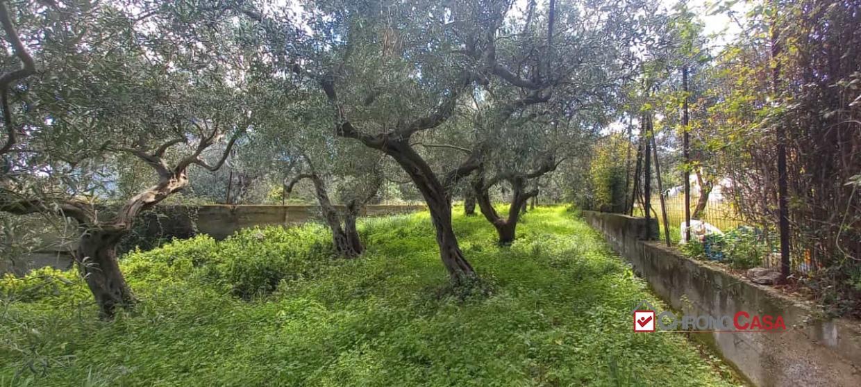Vendita Terreno, Messina foto