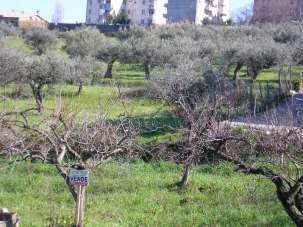 Vendita Terreno, Cupello Vendita Terreno, Cupello