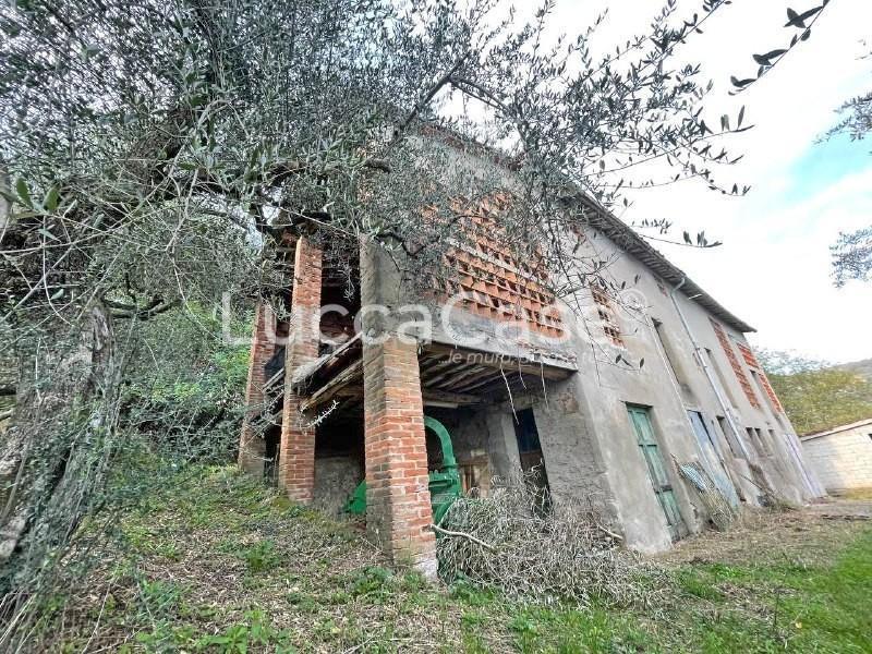 Vendita Rustico, Lucca foto