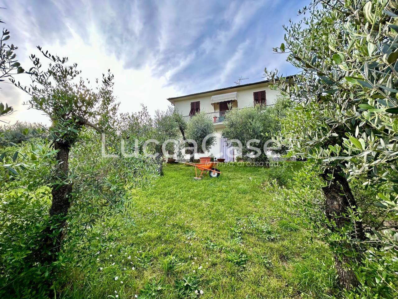 Vendita Appartamento, Lucca foto