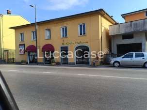 Affitto Locale commerciale, Lucca Affitto Locale commerciale, Lucca