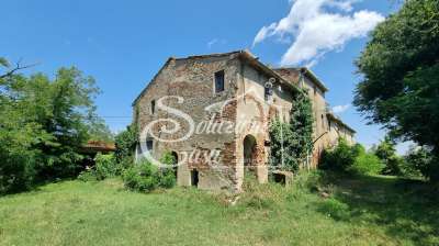 Vendita Rustico, Fauglia Vendita Rustico, Fauglia