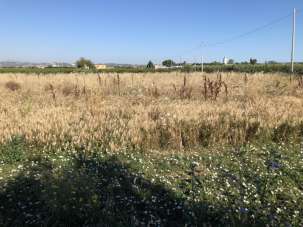 Vendita Terreno, San Salvo Vendita Terreno, San Salvo