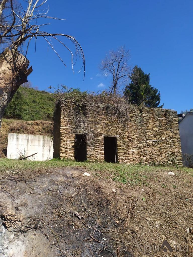 Vendita Casa indipendente, Montignoso foto