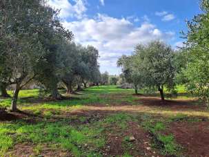 Vendita Terreno, Ostuni
