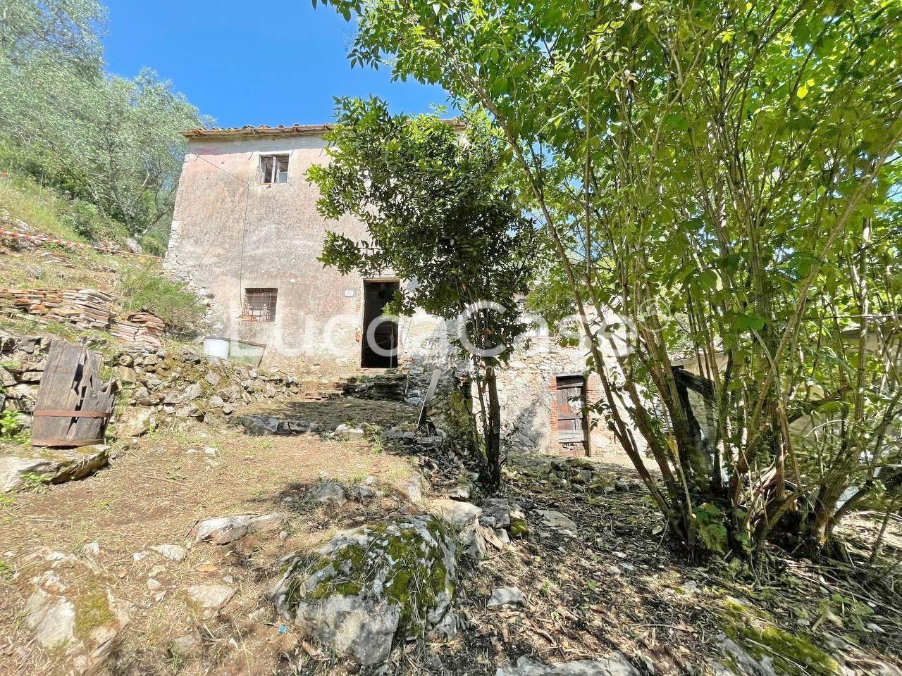 Vendita Casa indipendente, Lucca foto